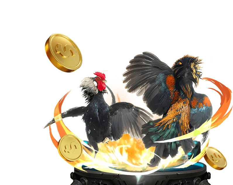 Đá gà tre sôi động tại helo888 cổng game chính thức
